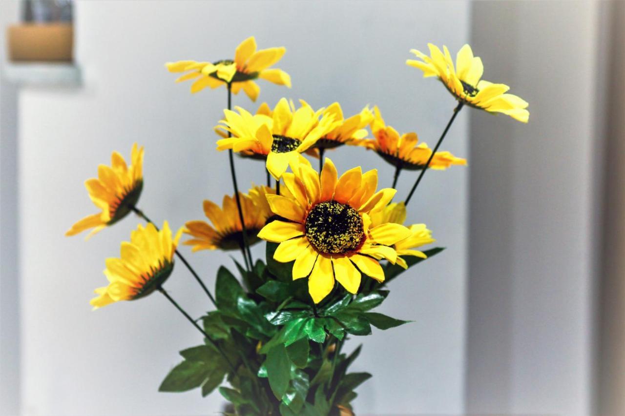 Dimosthenis_Loft2 Atina Dış mekan fotoğraf